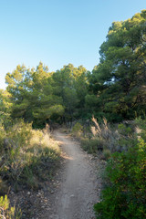 The natural park of the desert of las palmas in Castellon