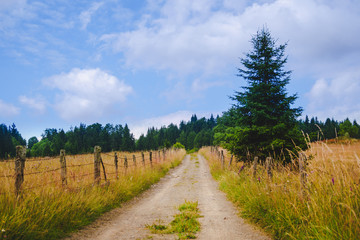 Mountain road with clear sky