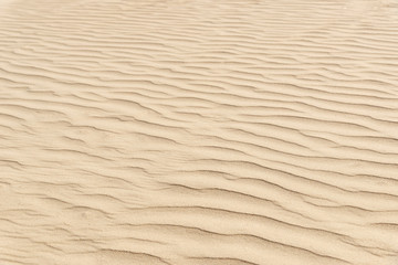 nature background of smooth sand wave texture