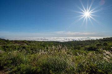 Obraz premium 屏風岳からみる雲海