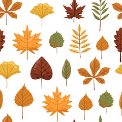 Autumn background. Seamless pattern with autumn various leaves. Print for fabric, web page background, scrapbooking and wrapping paper. Vector illustration on white background.