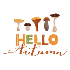 Autumn mood. Stylish typography slogan design "Hello autumn" sign. Various types of mushrooms. Vector illustration on white background.