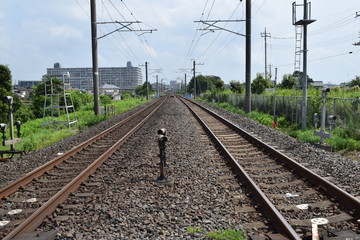 Fototapeta na wymiar 常磐線の鉄道線路