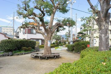 Obraz premium 冬の蛇松緑道