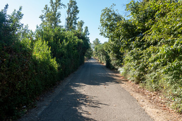 Fototapeta na wymiar The green road of the Ebro in Tarragona