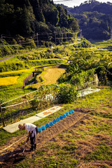 兵庫県・耕す人
