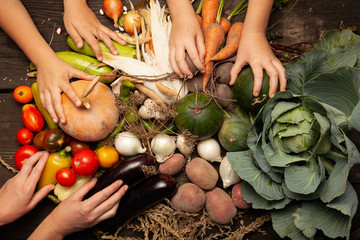 Fresh farm vegetables, organic healthy food. Agriculture harvest.