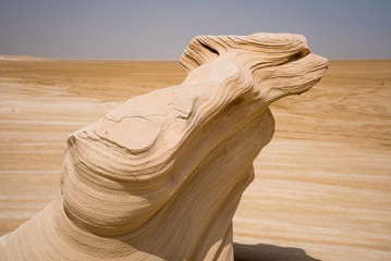 Camel face carved in Fossil dunes, textures, Abu Dhabi emirate, Al wathba, visual perception, visual interpretation © Danieduverger