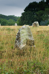 vertical view of the standing stone alignments of Carnac in Brittany