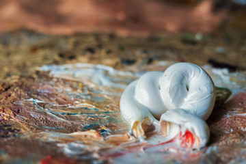White oil paint on the palette