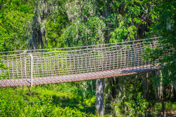 A long canopy walk in Santa Ana NWR, Texas