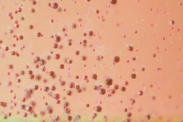 Abstract of oil drops with defocused background