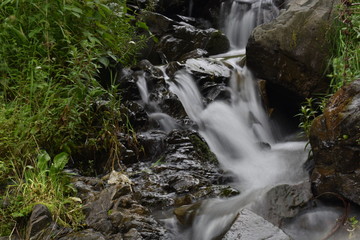 water stream in the jungle