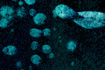 Emboss abstract on blue microorganisms