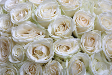 Natural floral background with bouquet of white roses