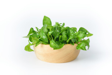 Fresh watercress in a bowl on white background