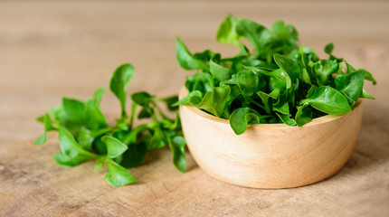Fresh watercress in a bowl on wooden background