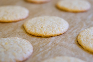 Backen in der Weihnachtszeit - Frisch gebackene Orangen-Gewürz-Plätzchen liergen zum Abkühlen...