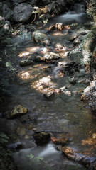 A stream flows not far from the spring in the high mountain. Further down the stream becomes a...
