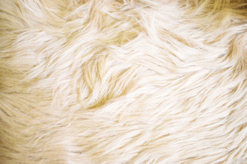 Empty, Luxurious wool texture background.