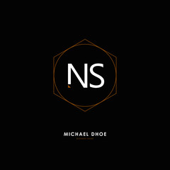 N S NS Initial logo letter with minimalist concept. Vector with scandinavian style logo.
