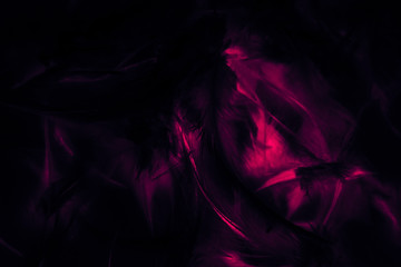 Beautiful closeup textures abstract colorful dark black and pink feathers and darkness pattern feather wallpaper and background