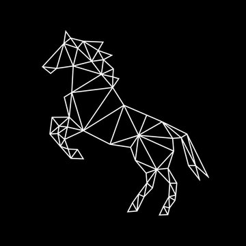 Fashion white geometric contour of a wild horse on a dark surface. Minimalism in the style of trigonometry.