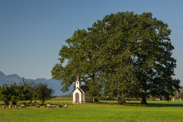 Fototapeta na wymiar Chapel and tree on a meadow - Landscape background