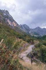 Fototapeta na wymiar A man walking through the Saliencia Valley (Asturias, Spain) on a cloudy day