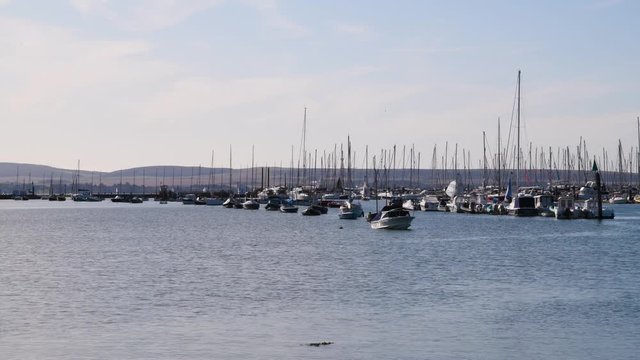 Hundreds of sail boats moored in a marina in Hampshire, UK