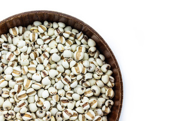 job's tear in bowl on white background.
