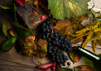 Autumn harvest of ripe grape with coloured textured leaves .