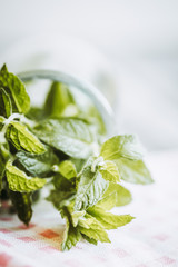 Bouquet de menthe fraîche du jardin
