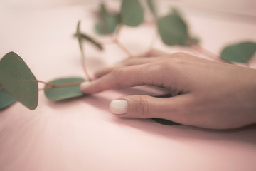 Perfect nude manicure set up pink soft background decorated with green eucalyptus plant.