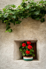 Fototapeta na wymiar Red flowers in front of a small window of a very old house in Glurns