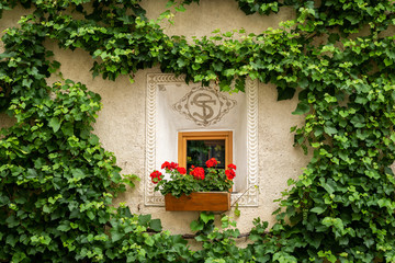 Fototapeta na wymiar Red flowers in front of a small window of a very old house in Glurns