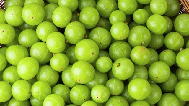 panning fresh Indian gooseberry top view