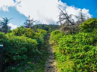 Fototapeta na wymiar 蔵王地蔵山頂駅から地蔵岳への登山道
