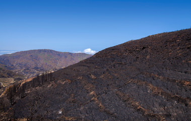 Gran Canaria after wild fire