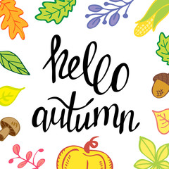 Fototapeta na wymiar Hello autumn. Banner template, greeting card with vector illustrations and handwritten lettering. Fall season and harvest festival. Colorful invitation with leaves and harvest. 