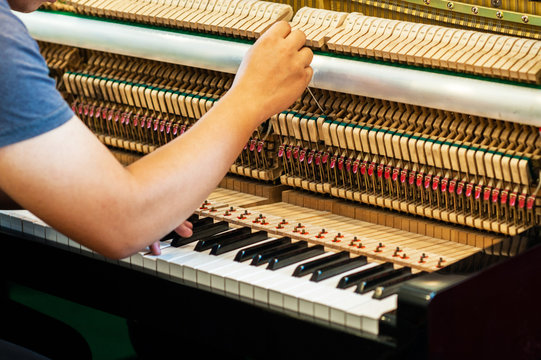 Piano technician  is checking the piano for the customer.Internal parts of the piano