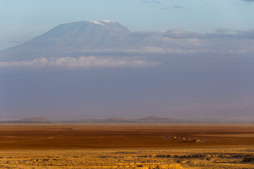 Fototapeta na wymiar The dry lake Amboseli and the Kilimanjaro in the background
