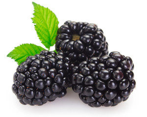 Fresh blackberry on white background