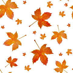 Seamless pattern with bright yellow and orange maple leaves. Autumn watercolor background.