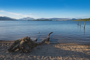 Loch Lomond, Scotland - tranquil lake with monster shaped driftwood on shore