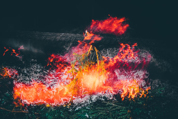  long exposure fire pictures, natural background, selective focus, film and grain