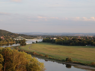 Fototapeta na wymiar Loschwitzer Brücke über die Elbe in Dresden