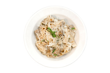 Creamy homemade pasta with mushrooms top view isolated
