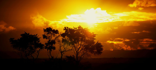 bright golden sunset