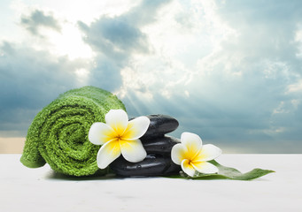 Tropical flower with towel for therapy on white background and c